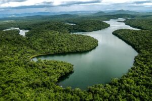 Compromisso com o Clima abre edital para projetos sustentáveis
