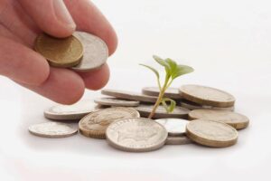 Webinars gratuitos dão dicas práticas sobre captação de recursos