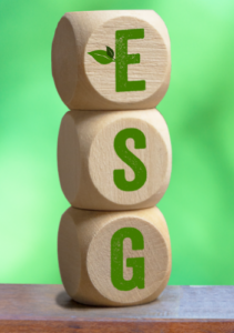 ESG: as três letras que diferenciam as entidades do Terceiro Setor
