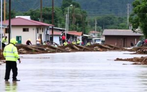 Um a cada quatro brasileiros já viveu ou conhece alguém afetado por tragédia ambiental